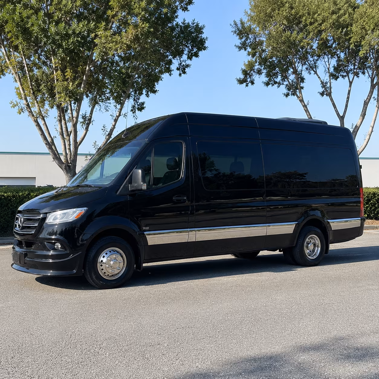 downey bachelor and bachelorette party sprinter van rentals